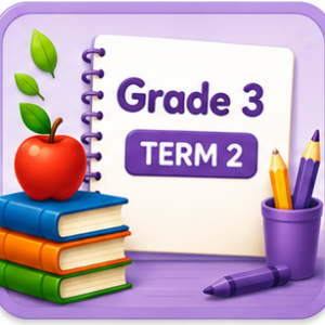 Grade 3 - Term 2