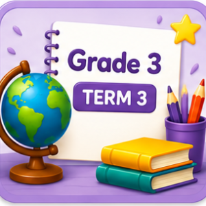Grade 3 - Term 3