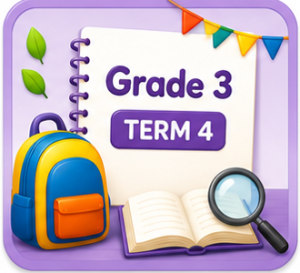 Grade 3 - Term 4